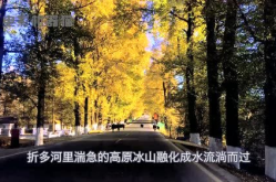 娱乐吃瓜君的作品,揭秘娱乐圈那些不为人知的幕后故事